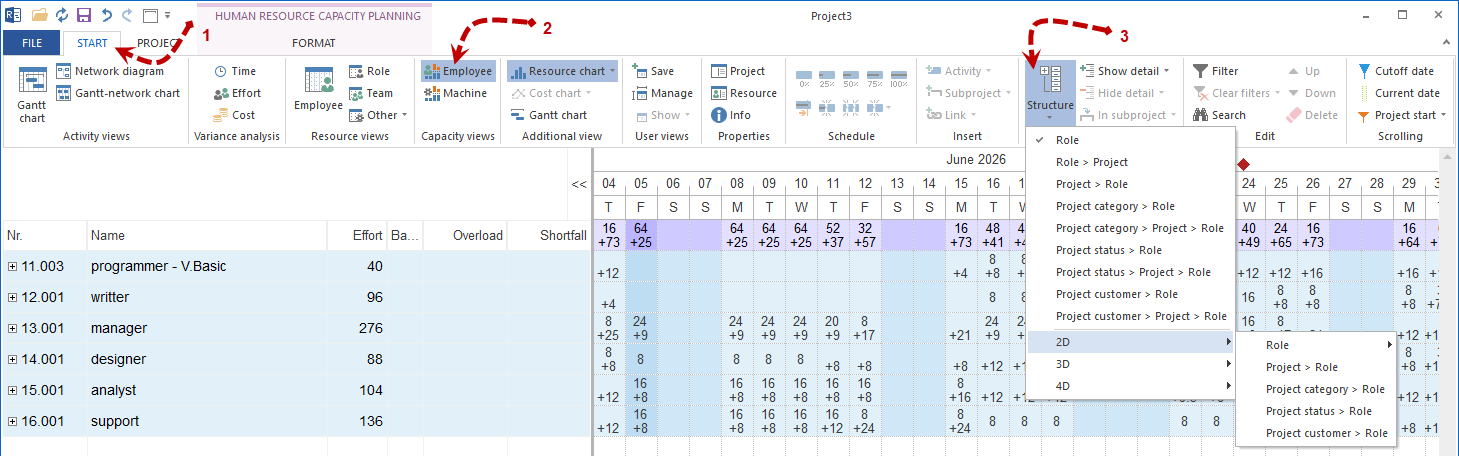 structure by employee, role, team, or project